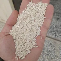 برنج عطری قلوه یا هاشمی اقتصادی