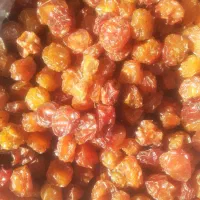انواع آلوچه ریز ترشکی