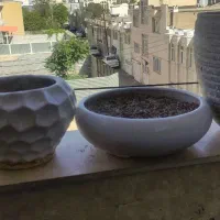 گلدان تمیز و سالم