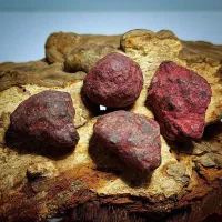 دیدین این آگهی اتفاقی نیست هبهاب خونی