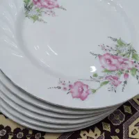 ۹عددبشقاب چینی