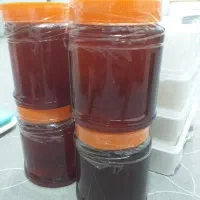 عسل طبیعی توحید کردستان