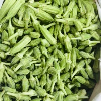 بامیه منصوریه