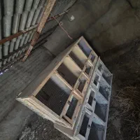 قفس جفت گاه