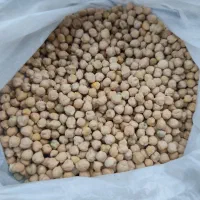 نخود محلی