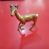 گوزن برنجی