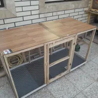 گنجه کبوتر