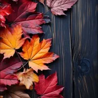 خط روند قدیمی