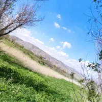 فروش زمین بادام زار
