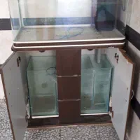 آکواریوم آب شور