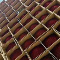 زرشک|خوردنی و آشامیدنی|نیشابور, فضل|دیوار