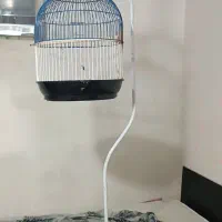 قفس ایستاده