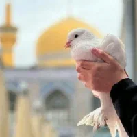 رزرو بلیط مشهد ویژه / قسطی۵ ماهه/زمینی هوایی