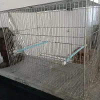 قفس پرنده