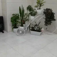 دو عدد استند گل ،فلزی طرح سه چرخه
