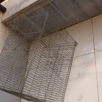 قفس پرنده