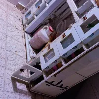 قفس|لوازم جانبی حیوانات|نیشابور, سرآب کوشک|دیوار