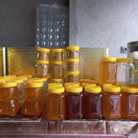 عسل طبیعی درجه یک/ ژل رویال/ گرده گل/ بره موم