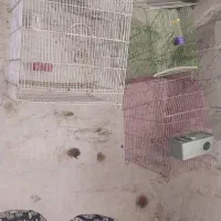 قفس پرنده