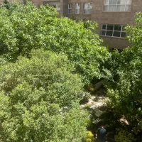 سرایدار ۲۴ ساعته(فقط اتباع )