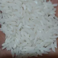 برنج هاشمی