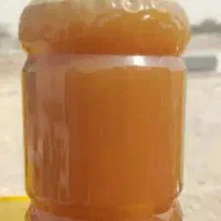 عسل کنار ارگانیک ویژه