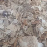 نان  خشک بدون مشکل