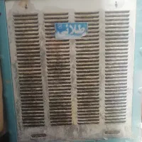 کولرابی
