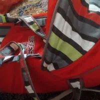 ساک نگه‌دارنده بچه سالم وخوش رنگ مناسب بچه