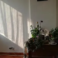 سوییت ۳۵متری بازسازی بلوار کشاورز (هتل اسپیناس)|فروش آپارتمان|تهران, بلوار کشاورز|دیوار