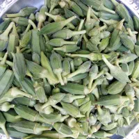 بامیه سبز