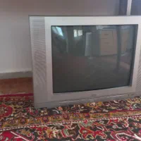 تلویزیون
