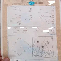 ۴۰۰متر زمین شش دانگ / برای فروش / رامسر نیاسته