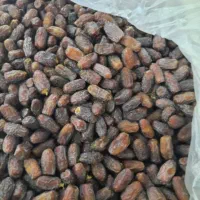 فروش پیارم جنوب