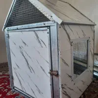 قفس