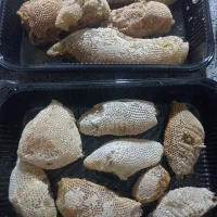 عسل وحشی