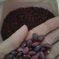 لوبیا قرمز