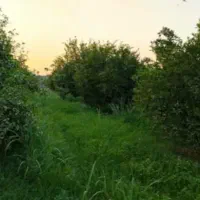 فروش-باغ-ویلای-6200-متری