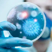 آکادمی تحصیلی و روان‌شناختی «رایکا»