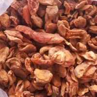 انواع مدل زرد آلو خشک شده هم آفتابی هم تیزابی