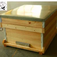 کندوی زنبور عسل
