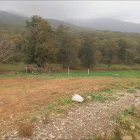 ۴۸۰متری وصل به اببندان جنگل شموشک بالا