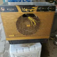 کولرابی