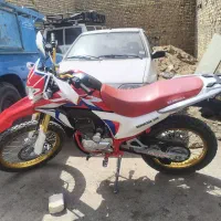 تریل برمودا250