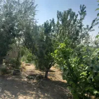 باغ آماده با فنس و نهال در روستای سیمین