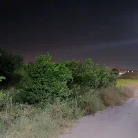 مجتمع باغ برق دار بنجعفر