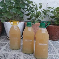 فروش آبغوره تازه