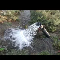 دنبال چهاردیواری باغی بکر هستی با من همراه باش