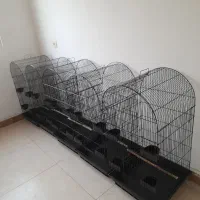 پرنده سرا و پت شاپ طوطیاهشتگرد