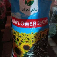 تخمه آفتابگردان